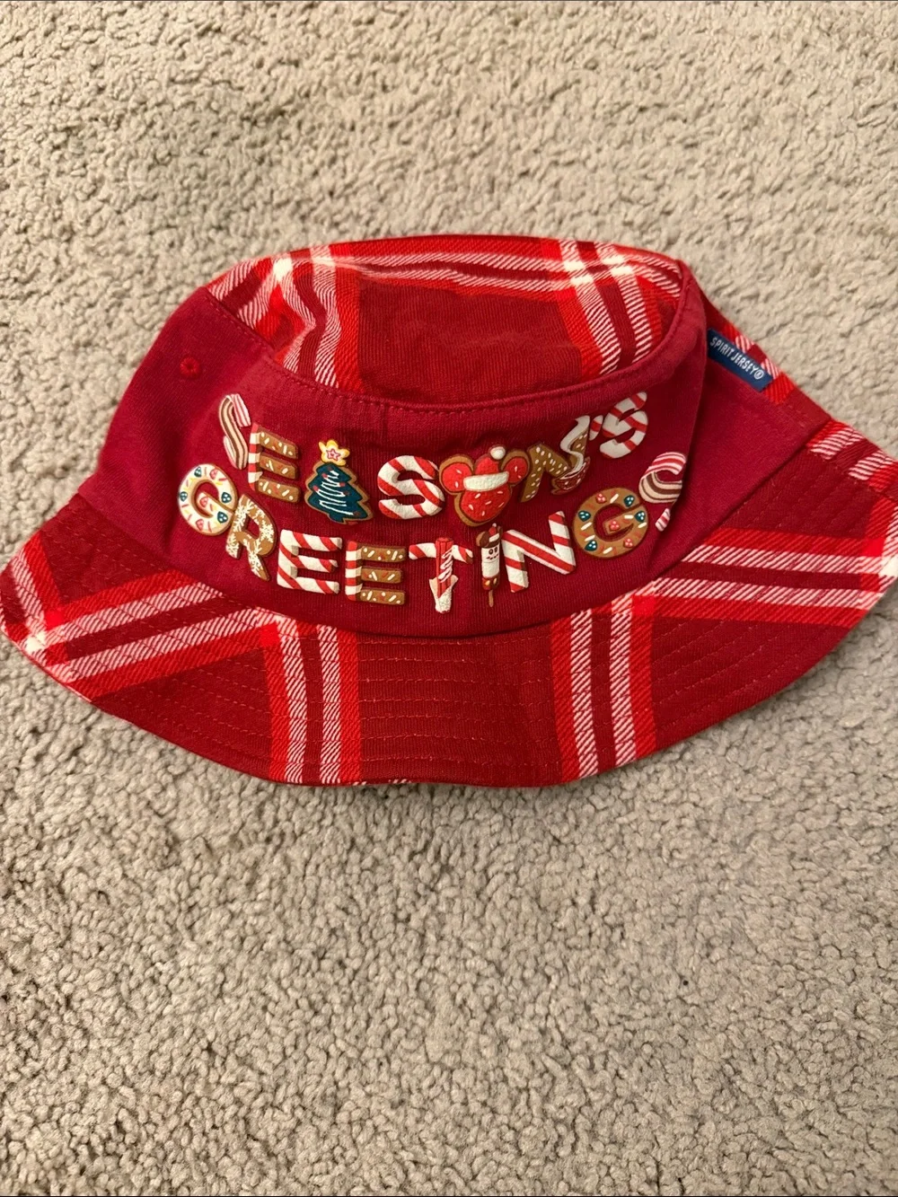 Disney Spirit Jersey Plaid Bucket Hat